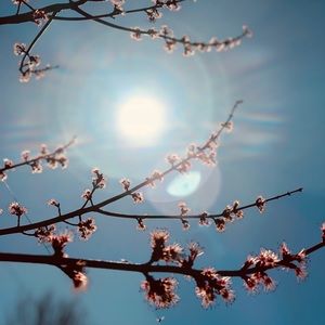 Meet your Posher, Nevaeh